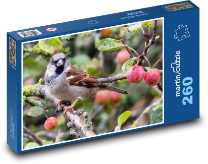 Sparrow on a branch - bird, animal - Puzzle 260 pieces, size 41x28.7 cm 