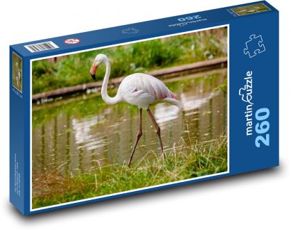 Flamingo pink - water bird, animal - Puzzle 260 pieces, size 41x28.7 cm 