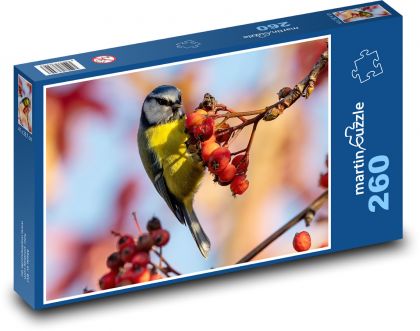 Sýkorka modrinka - malý vtáčik, kŕmenie - Puzzle 260 dielikov, rozmer 41x28,7 cm
