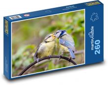 Krmení mláďat - modřinka, pták Puzzle 260 dílků - 41 x 28,7 cm