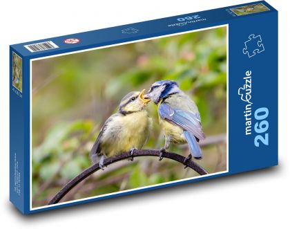 Krmení mláďat - modřinka, pták - Puzzle 260 dílků, rozměr 41x28,7 cm