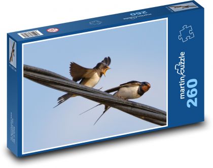 Jaskółka na drucie - ptak, zwierzę - Puzzle 260 elementów, rozmiar 41x28,7 cm