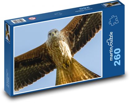 Roter Drache - Vogel, Raubtier - Puzzle - 260 Teile