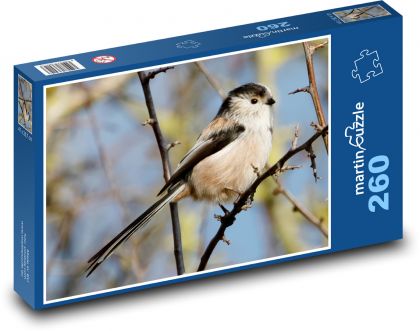 Sýkorka dlhochvostá - vták, vetva - Puzzle 260 dielikov, rozmer 41x28,7 cm