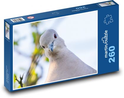 Halsbandtaube - Taube, Vogel - Puzzle - 260 Teile
