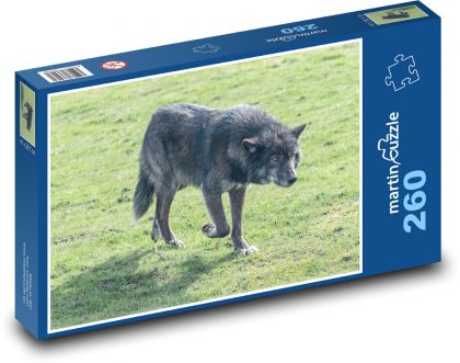 Vlk - dravec, zvíře - Puzzle 260 dílků, rozměr 41x28,7 cm