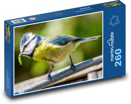Sýkorka modrinka - vták, perie - Puzzle 260 dielikov, rozmer 41x28,7 cm