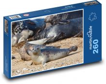 Tuleň - mládě, zvíře Puzzle 260 dílků - 41 x 28,7 cm