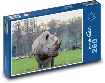 Rhinoceros - animal, Africa - Puzzle 260 pieces, size 41x28.7 cm 
