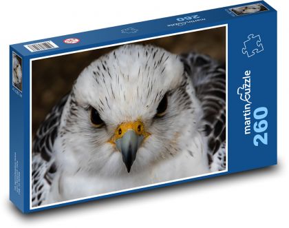 Sokol - mammal, bird - Puzzle 260 pieces, size 41x28.7 cm 