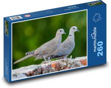 Holubice - ptáci, zvířata Puzzle 260 dílků - 41 x 28,7 cm