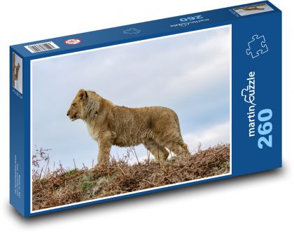 Lion - cub, lion - Puzzle 260 pieces, size 41x28.7 cm 