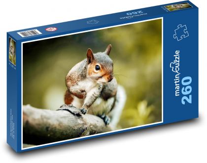 Wiewiórka - gryzoń, zwierzę - Puzzle 260 elementów, rozmiar 41x28,7 cm