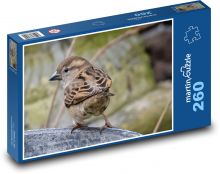 Vrabec zahradní - pták, zvíře Puzzle 260 - 41x28,7 cm