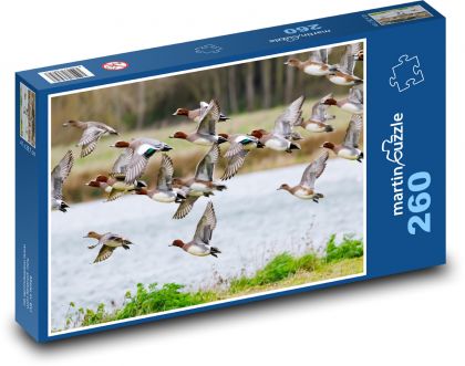 Letící kachny - ptáci, jezero - Puzzle 260 dílků, rozměr 41x28,7 cm