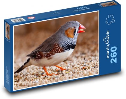 Zebrička pestrá - vták, zobák - Puzzle 260 dielikov, rozmer 41x28,7 cm