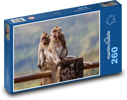 Makak - opice, zvířata - Puzzle 260 dílků, rozměr 41x28,7 cm