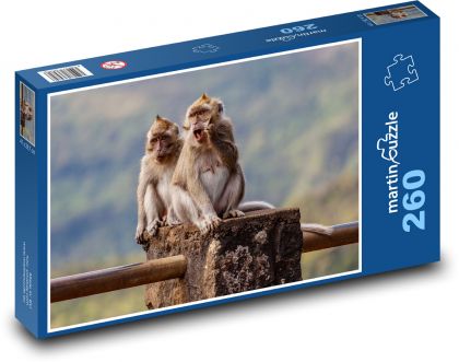 Makaken - Affen, Tiere - Puzzle - 260 Teile
