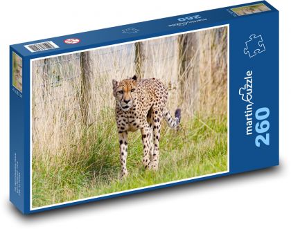 Gepard - velká kočka, lov - Puzzle 260 dílků, rozměr 41x28,7 cm