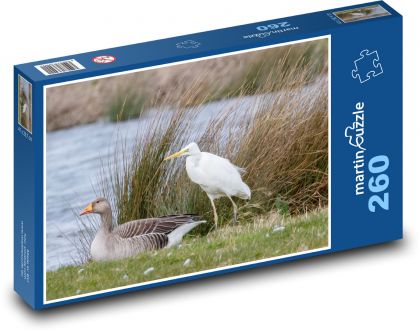 Volavka bílá - brodivý pták, jezero - Puzzle 260 dílků, rozměr 41x28,7 cm
