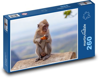 Makak - opice, jíst - Puzzle 260 dílků, rozměr 41x28,7 cm