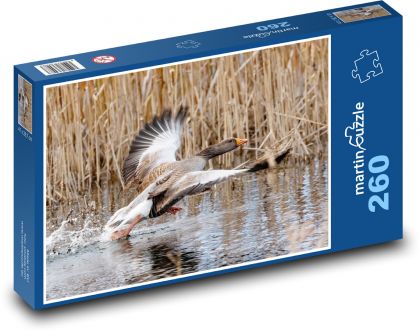 Lietajúci hus - vták, letieť - Puzzle 260 dielikov, rozmer 41x28,7 cm