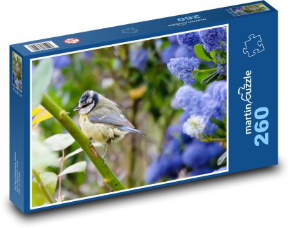 Sýkora modřinka - malý ptáček, krmení - Puzzle 260 dílků, rozměr 41x28,7 cm