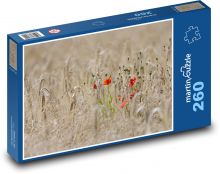Czerwony mak - pole jęczmienia, natura Puzzle 260 elementów - 41x28,7 cm
