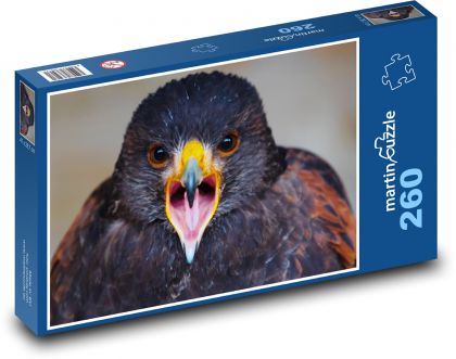 Orel - dravý pták, dravec - Puzzle 260 dílků, rozměr 41x28,7 cm