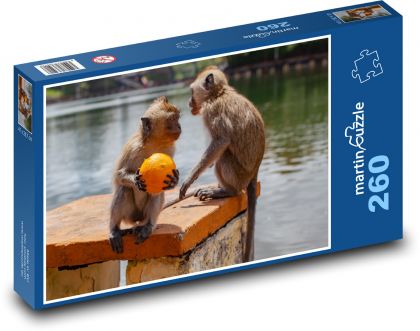Makak a pomeranč - opice, voda - Puzzle 260 dílků, rozměr 41x28,7 cm