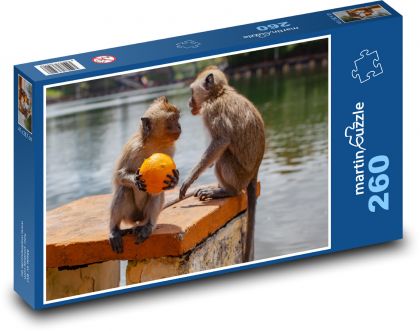 Makak i pomarańcza - małpa, woda - Puzzle 260 elementów, rozmiar 41x28,7 cm
