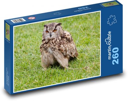 Nočná sova - dravec, lovec - Puzzle 260 dielikov, rozmer 41x28,7 cm