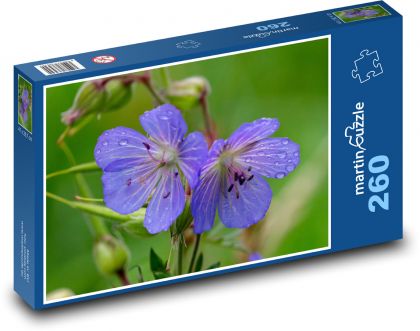 Modrá květina - okvětní lístky, louka - Puzzle 260 dílků, rozměr 41x28,7 cm