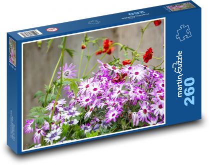 Fioletowa stokrotka - kwiat, ogród - Puzzle 260 elementów, rozmiar 41x28,7 cm