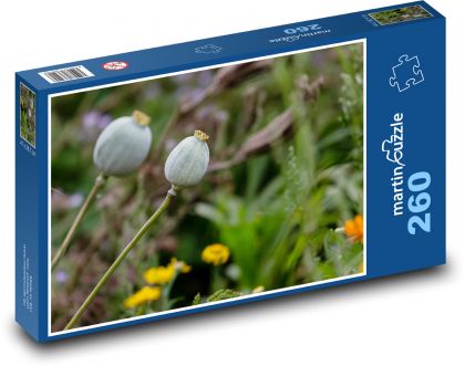Hlavy máku - rostlina, louka - Puzzle 260 dílků, rozměr 41x28,7 cm