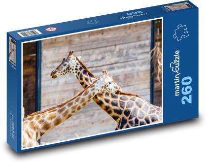 Žirafy - zvířata, pár - Puzzle 260 dílků, rozměr 41x28,7 cm