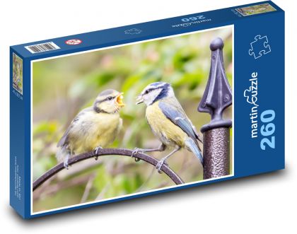 Kŕmenie mláďat - modrinka, vták - Puzzle 260 dielikov, rozmer 41x28,7 cm