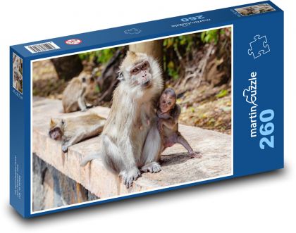 Opice - makak, mládě - Puzzle 260 dílků, rozměr 41x28,7 cm