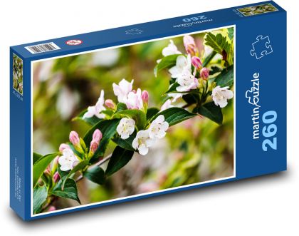 Růžový květ - větev, jabloň - puzzle 260 dílků