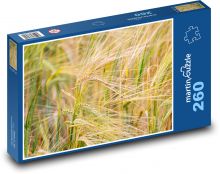 Pole pšenice - sklizeň, zemědělství  Puzzle 260 dílků - 41 x 28,7 cm