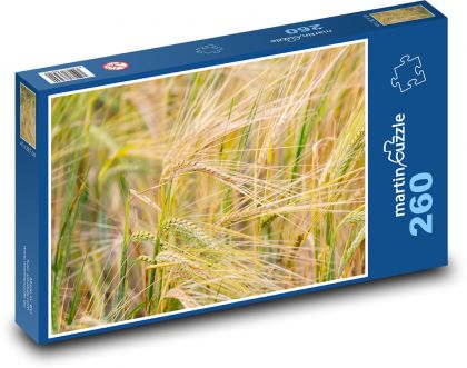 Pole pšenice - sklizeň, zemědělství  - Puzzle 260 dílků, rozměr 41x28,7 cm