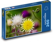 Žlutý podběl - květina, rostlina Puzzle 260 dílků - 41 x 28,7 cm