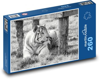 Biely tiger - zajatie, zoo - Puzzle 260 dielikov, rozmer 41x28,7 cm