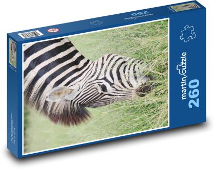 Zebra - pruhované zvíře, Afrika - Puzzle 260 dílků, rozměr 41x28,7 cm