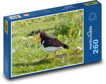 Vodný vták - oranžový zobák, perie - Puzzle 260 dielikov, rozmer 41x28,7 cm