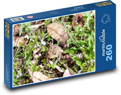 Žába v trávě - obojživelník, ropucha - Puzzle 260 dílků, rozměr 41x28,7 cm