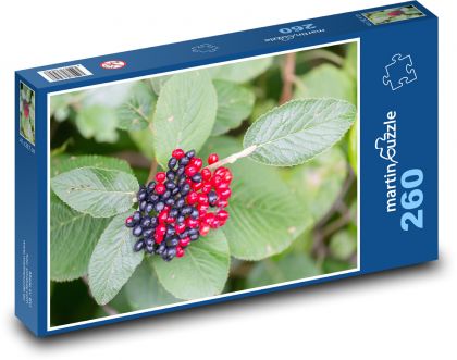 Červené bobule - olistění, listy - puzzle 260 dílků