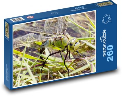 Vážka cisárska - hmyz, krídla - Puzzle 260 dielikov, rozmer 41x28,7 cm
