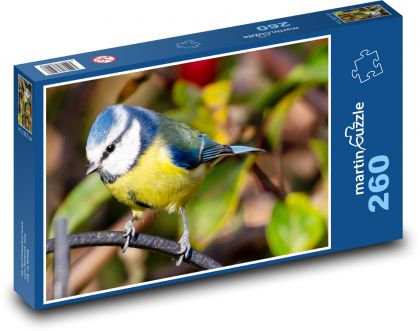 Sýkorka modřinka - pták, sýkora - Puzzle 260 dílků, rozměr 41x28,7 cm