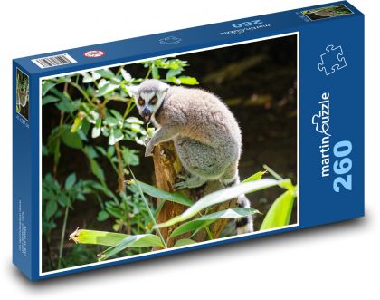 Lemur - animal, Madagascar - Puzzle 260 pieces, size 41x28.7 cm 